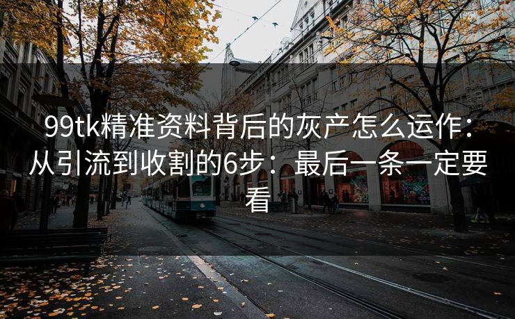 99tk精准资料背后的灰产怎么运作：从引流到收割的6步：最后一条一定要看